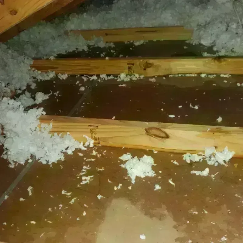 Attic Water Damage in Ashwaubenon, WI