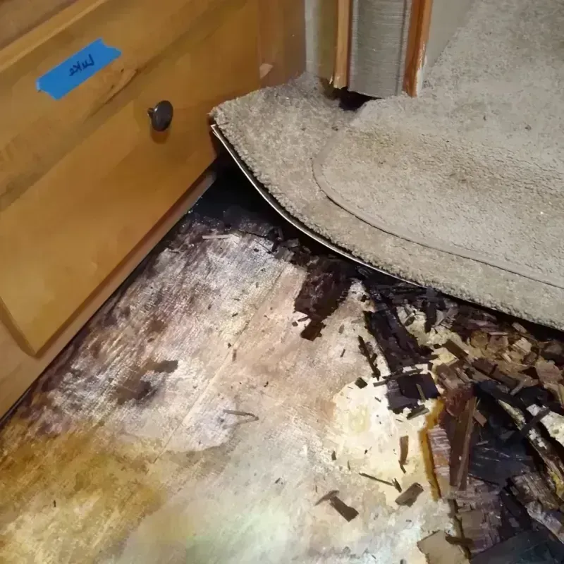 Wood Floor Water Damage in Ashwaubenon, WI